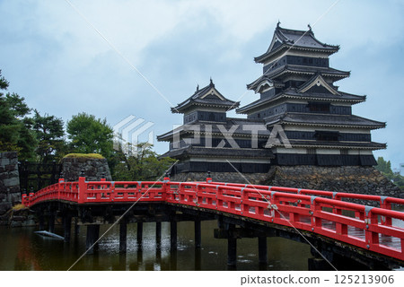 Looking up at Matsumoto Castle's castle tower 125213906