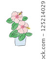 水彩粉紅色芙蓉花 125214029