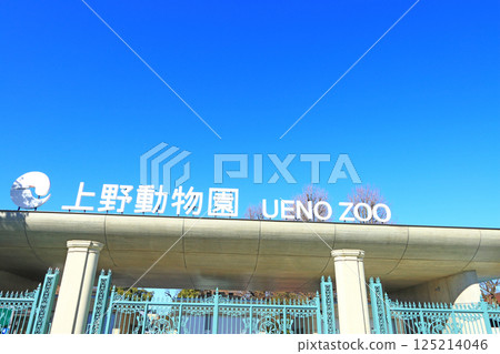 東京台東區上野動物園的風景 125214046