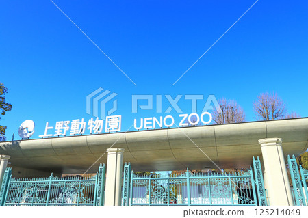 東京台東區上野動物園的風景 125214049