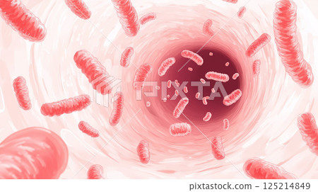 腸道細菌的插圖 125214849