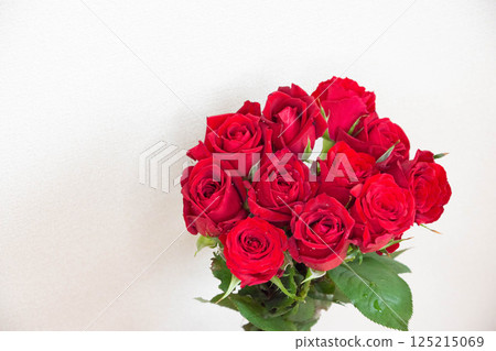 Red roses 125215069