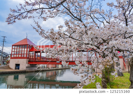 (Toyama Prefecture) Shinminato, Imizu City - East Bridge over the cherry blossom-lined Hojotsunai River (Toyama Prefecture) Shinminato, Imizu City - East Bridge over the cherry blossom-lined Hojotsunai River 125215160