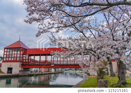 （富山縣）射水市新湊 - 橫跨櫻花盛開的寶城內川的東橋 125215161