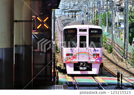 Railway: Private Railway: Keio Electric Railway 9000 Series Shimotakaido Station Railway: Private Railway: Keio Electric Railway 9000 Series Shimotakaido Station 125215523