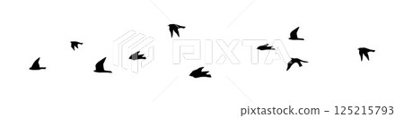 Flying birds vector silhouette, group of birds flying, flying birds flock silhouettes Flying birds vector silhouette, group of birds flying, flying birds flock silhouettes 125215793