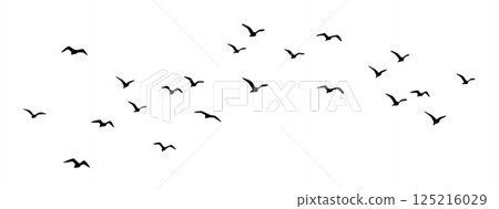 Flight bird silhouettes, Bird flying, birds in flight, flock of birds	 125216029