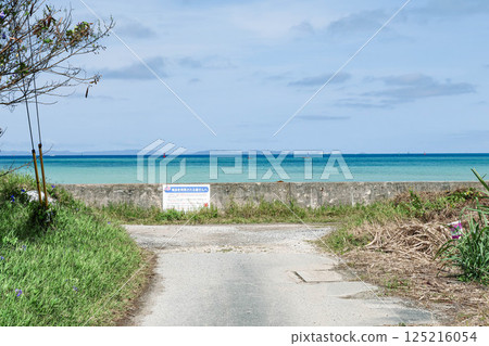 通往大海的路 125216054