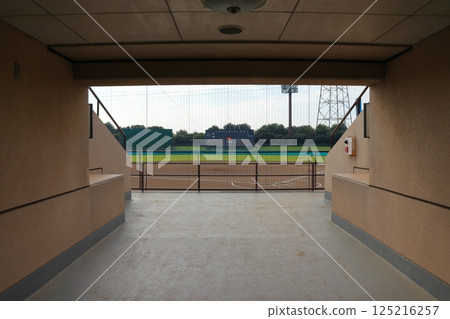 沐浴陽光的年輕棒球選手:青春開始的地方(埼玉) 沐浴陽光的年輕棒球選手:青春開始的地方(埼玉) 125216257