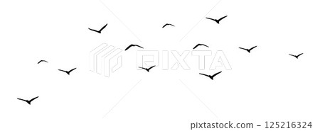 Bird flying, birds in flight, Flying flock of birds vector silhouette Bird flying, birds in flight, Flying flock of birds vector silhouette 125216324