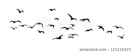 Flying birds silhouettes, group of birds flying, isolated bird flying, birds in flight Flying birds silhouettes, group of birds flying, isolated bird flying, birds in flight 125216325
