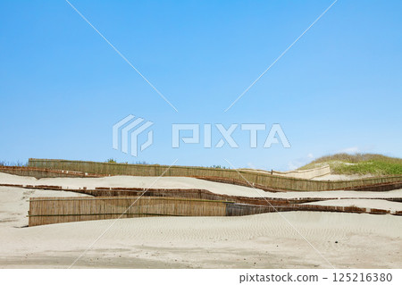 Sand fence at Hamaoka Sand Dunes (Omaezaki City, Shizuoka Prefecture) 125216380