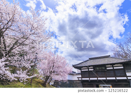 Komoro Castle ruins with cherry blossoms in full bloom 125216522