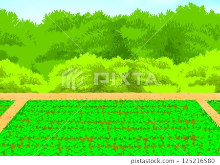 Rural landscape Rural landscape 125216580