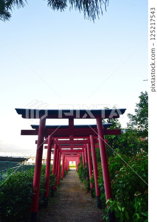 友八幡稻荷大社(滋賀縣) 友八幡稻荷大社(滋賀縣) 125217543