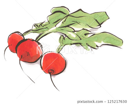 手繪蘿蔔 125217630