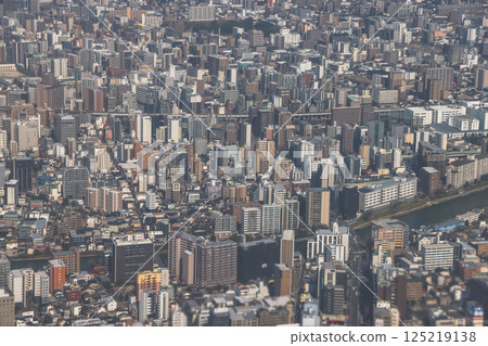 a Metropolitan Cityscape With Dense Urban Development 125219138