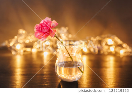 Carnations in a vase 125219333