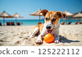 Playful dog with orange ball on sunny beach day 125222112