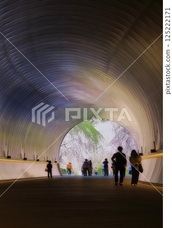 Light, a blooming tunnel 125222171
