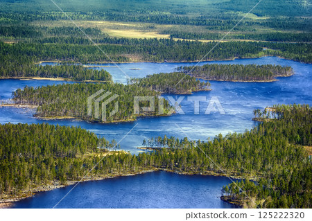 Misty spring morning forest and lake in may Misty spring morning forest and lake in may 125222320