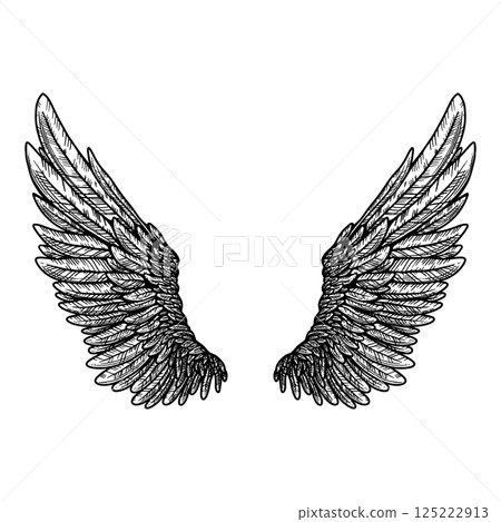 Vector tattoo style eagle wing illustration 125222913