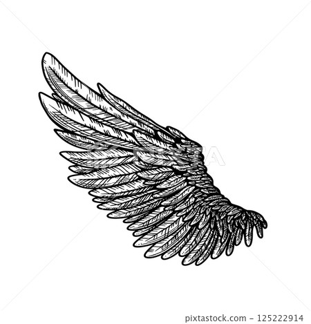 Vector tattoo style eagle wing illustration Vector tattoo style eagle wing illustration 125222914