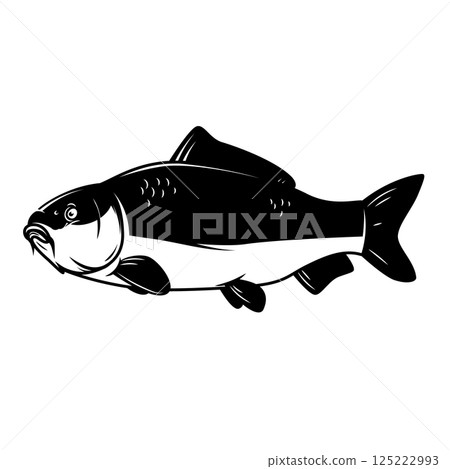 Illustration of carp fish in monochrome style. Carp fish  isolated on white background 125222993