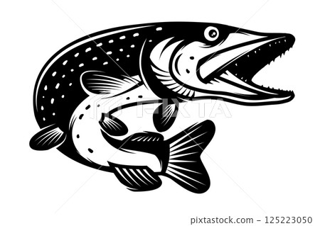 Illustration of pike fish in monochrome style. Pike fish isolated on white background 125223050