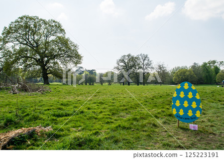 A large tree standing in a spacious field under a bright blue sky and white clouds in Hatchlands, a suburb of London A large tree standing in a spacious field under a bright blue sky and white clouds in Hatchlands, a suburb of London 125223191