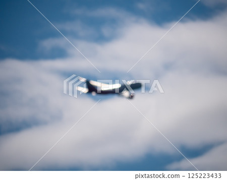 Airplane in flight Airplane in flight 125223433