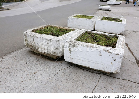 An Urban Landscape Featuring Concrete Planters Surrounded by Lush Greenery and Plants An Urban Landscape Featuring Concrete Planters Surrounded by Lush Greenery and Plants 125223640