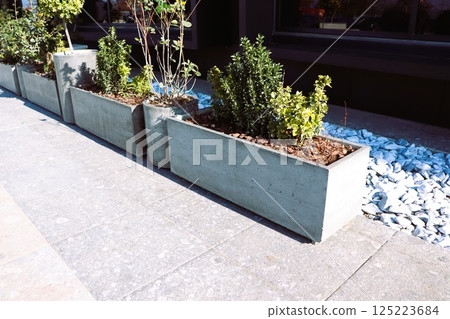 Discover Stylish Urban Planters Featuring Fresh, Lush Green Plants Perfect For Your Aesthetic Spaces 125223684