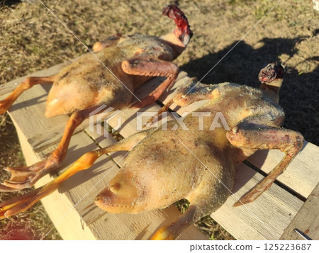 Two Ducks that are Prepared for Cooking on a Wooden Plank Await the Chefs Attention Two Ducks that are Prepared for Cooking on a Wooden Plank Await the Chefs Attention 125223687