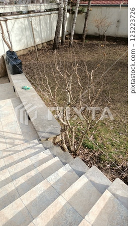 Peaceful Garden Steps Lead Through Bare Bushes and Lush Green Lawn, Creating a Serene Atmosphere 125223726