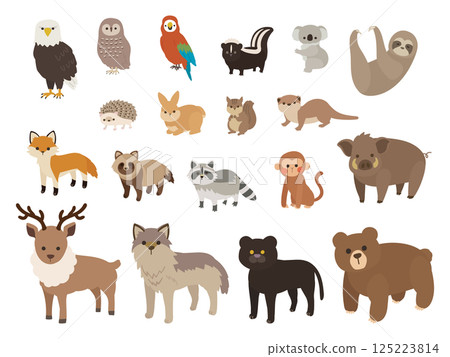 Illustration set of animals living in the forest 125223814