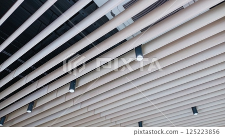 Explore Modern Ceiling Design Featuring Linear Lights and Intricate Artistic Patterns 125223856