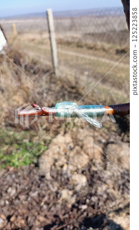 Enjoying Fishing Gear with a Customized Hook Setup in the Great Outdoors of Nature 125223858