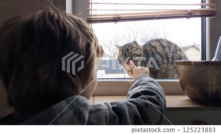 The charming interaction between a child and a cat at the window brings joy to life The charming interaction between a child and a cat at the window brings joy to life 125223883