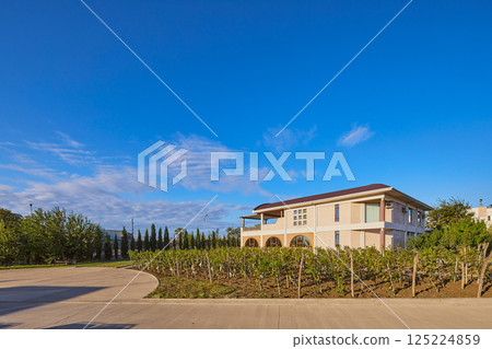 Charming Vineyard Landscape with a Modern House and Clear Blue Sky, Perfect for Tranquil Retreats and Nature Lovers Charming Vineyard Landscape with a Modern House and Clear Blue Sky, Perfect for Tranquil Retreats and Nature Lovers 125224859