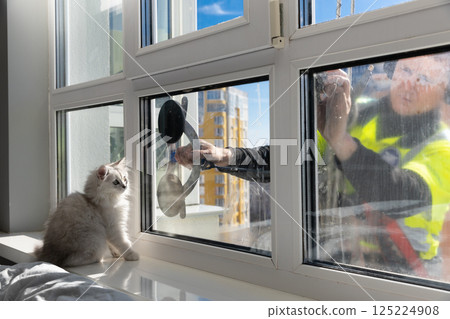 Curious Cat Observes Window Cleaner at Work, Showcasing a Unique Interior Perspective with a Playful Feline and a Dedicated Professional Outside the Glass 125224908