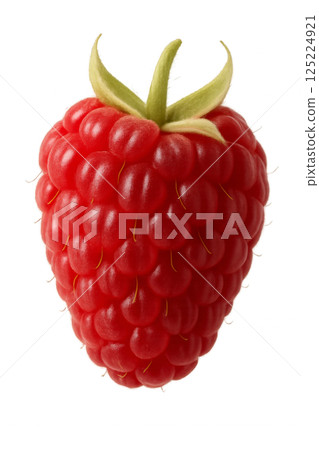 Fresh Red Raspberry Displaying Vibrant Color and Unique Texture Against a Plain Background Fresh Red Raspberry Displaying Vibrant Color and Unique Texture Against a Plain Background 125224921