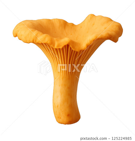 Chanterelle Mushroom With Vibrant Yellow Color and Unique Shape Discovered in the Forest During Autumn 125224985