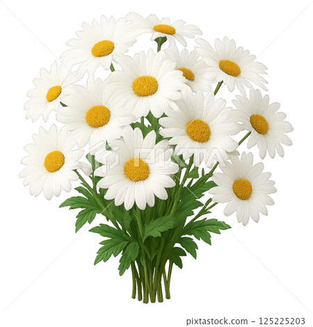Beautiful Bouquet of White Daisies With Yellow Centers Arranged for Decoration or Gift Purposes 125225203