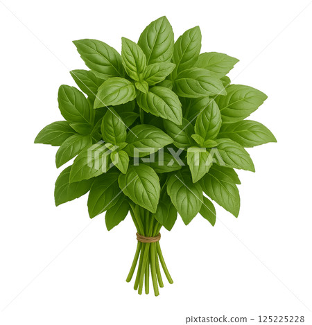 Fresh Basil Bunch Ready for Cooking and Garnishing in a Kitchen Setting 125225228