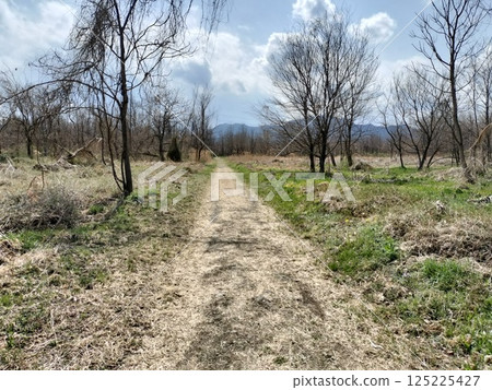 Spring riverside walk Spring riverside walk 125225427