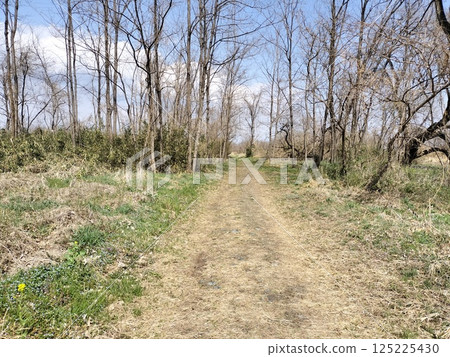 Walking on the riverbank in spring Walking on the riverbank in spring 125225430