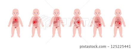 Internal organs of the child 125225441