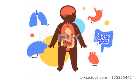 Internal organs of the child 125225442