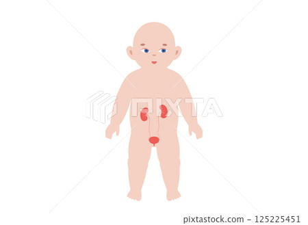 Kidney diseases in a child 125225451